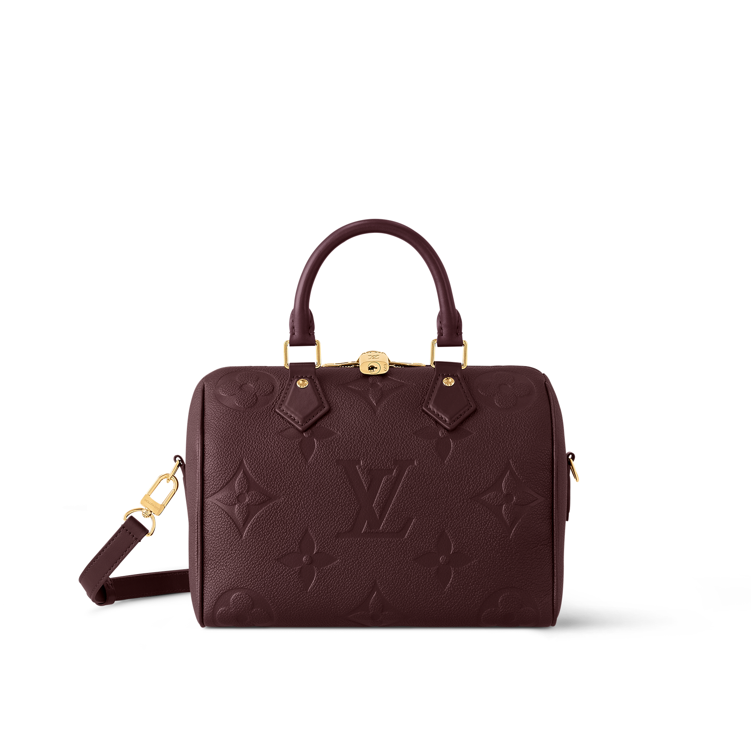 Louis Vuitton Leather Bags and Accessories LOUIS VUITTON